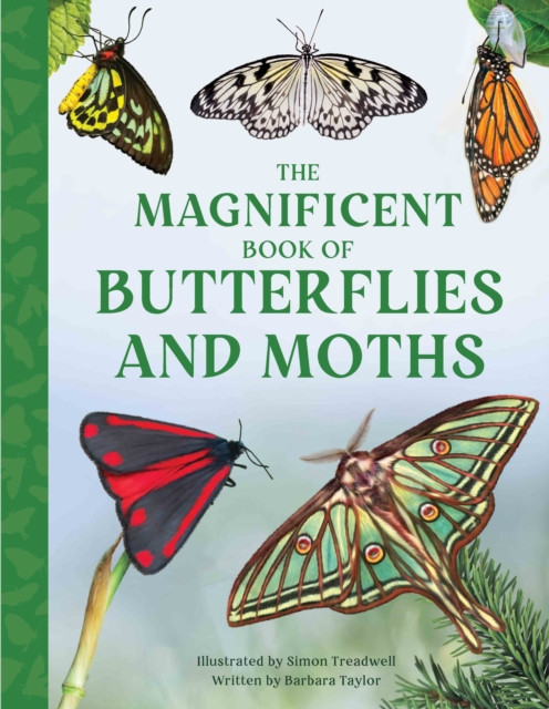 The Magnificent Book of Butterflies and Moths by Barbara Taylor (Hardback Book)