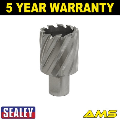 Sealey Worksafe �� 34 mm HSS Mag Bohrer Schnitttiefe 25 mm RBHSS34S
