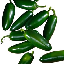 SOUNDWAVE Hybrid Jalapeno Pepper: 10 Seeds New, Rare Free Shipping 