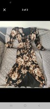 Express Floral Dress