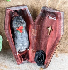 Coffin Mouse Macabre Funeral Taxidermy Anthropomorphic collectible decor gift