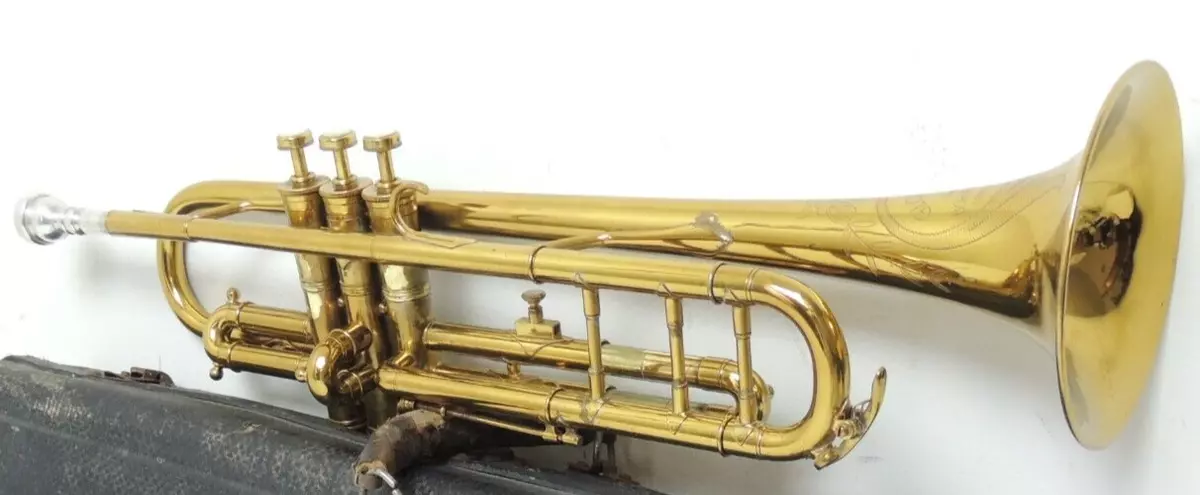 Largest trumpet 2024