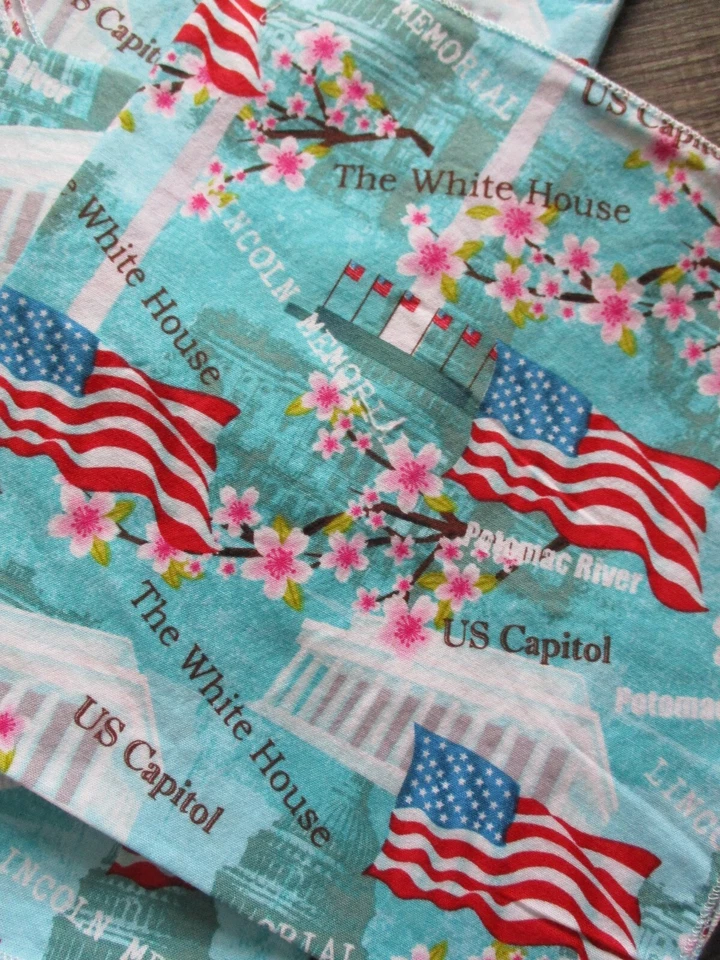 Servilletas Washington DC 10 banderas americanas de algodón monumentos patrióticos 4 de julio Foto 4 de 4
