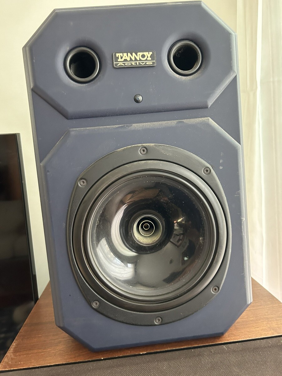 Tannoy System Nfm Ii TANNOY System NFM II 同軸2ウェイスピーカー
