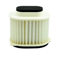 Luftfilter Miw Yamaha XVZ 1300 : Y4248 Yamaha 1300 XVZ Royal