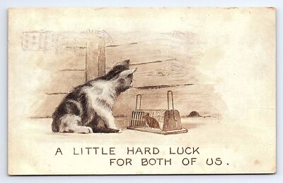 Postcard Cat & Mouse Humour Hard Luck For Both Of Us