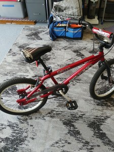 schwinn falcon freestyle