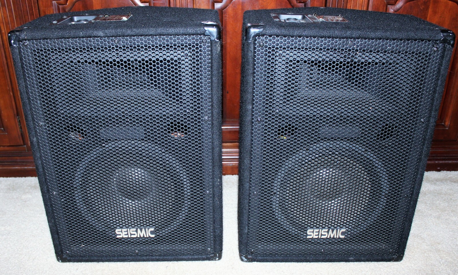 seismic audio pa speakers
