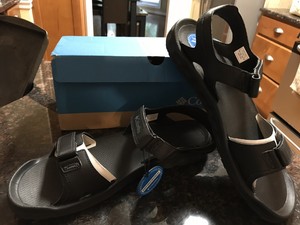 columbia buxton 2 strap