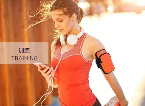 Armband Cell Phone Holder Running Jogging Gym Sports Arm Band Pouch Waterproof - Picture 3 of 31