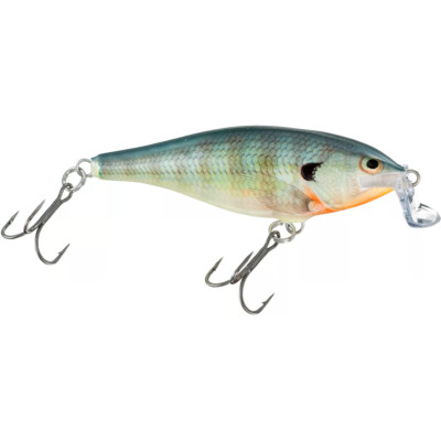 Rapala Shallow Shad Rap 09 Fishing Lure - Bluegill