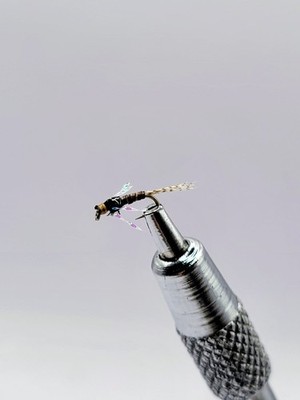 Premium Hand Tied Black Flashback Pheasant Tail  Nymphs  Size #18   Lot of 6