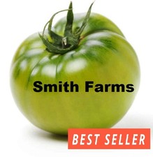 50 Seeds Evergreen Tomato Hybrid Juicy Easy to Grow Vegetable Garden