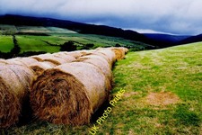 Photo A3 East Baldwin - Bales of hay in a field along B36  c2003