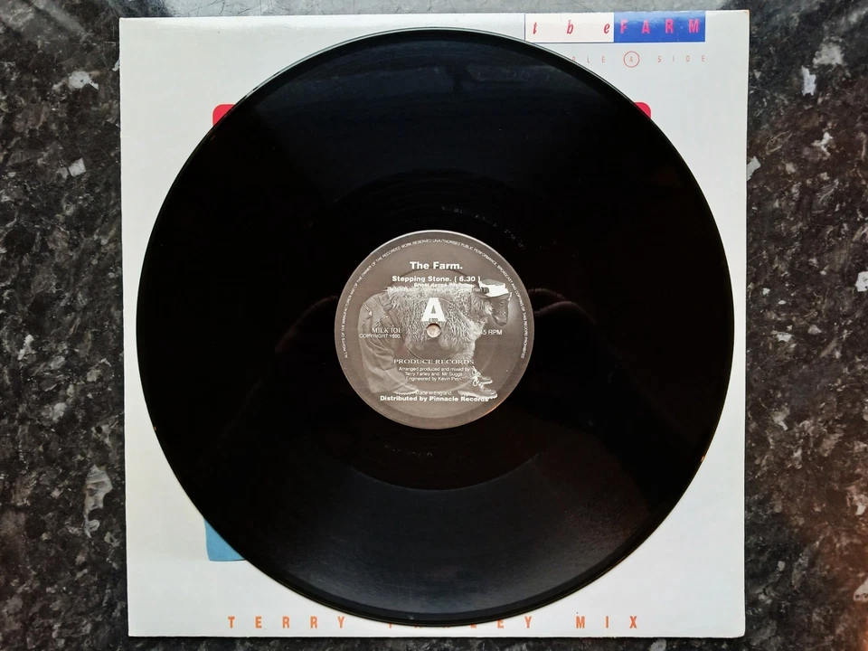 Farm - Stepping Stone - MILK 101 - 12" Single - Image 2 of 4