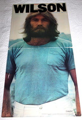DENNIS WILSON - Pacific Ocean Blue (Original 1977 U.S. Vinyl LP