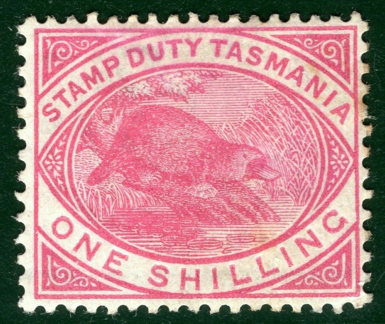 Australia TASMANIA QV Postal Fiscal SG.F29 1s Platypus (1880) Mi