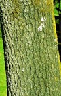 Bild 5 von 6