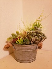 Faux Succulent and Air Plant Arrangement