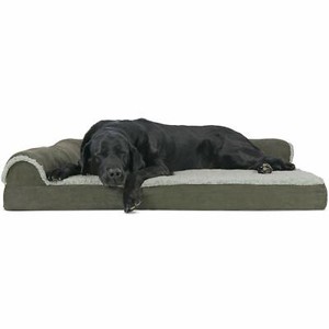 great dane dog sofa
