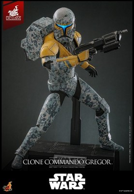 Ready! New Hot Toys 1/6 Star Wars TMS155 Clone Commander GREGOR Action Figure