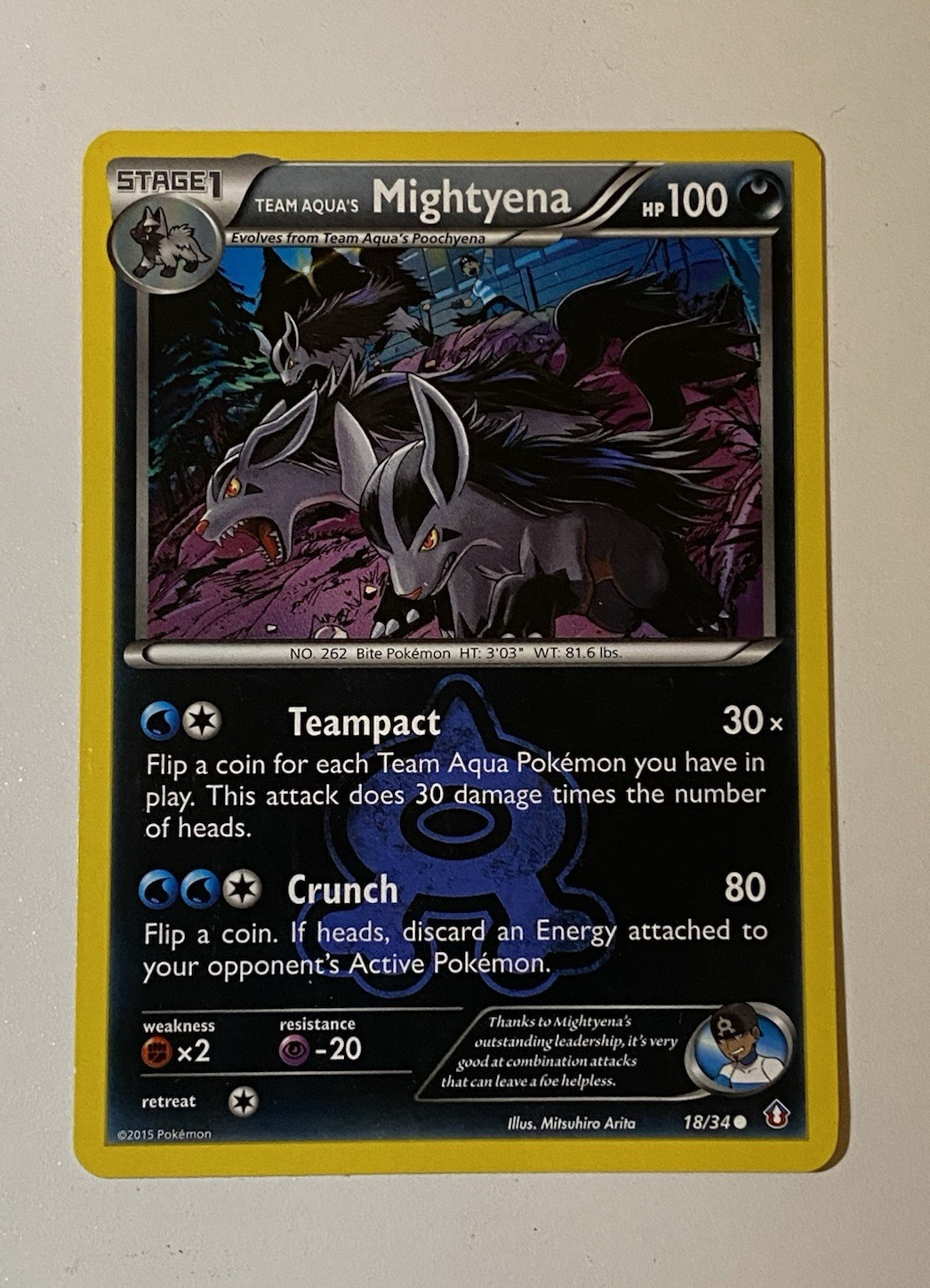 Pokemon DOUBLE CRISIS Team Aqua's MIGHTYENA Card NM/M XY 18/34
