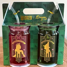 WICKED x Dragon Glinda And Elphaba Drinking Glass Set W/ Lid & Straw BRAND NEW