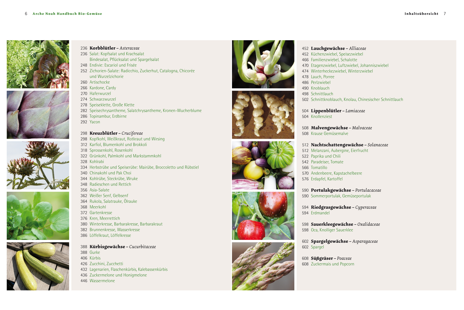 Thumbnail - Handbuch Bio-gemüse, Andrea Heistinger