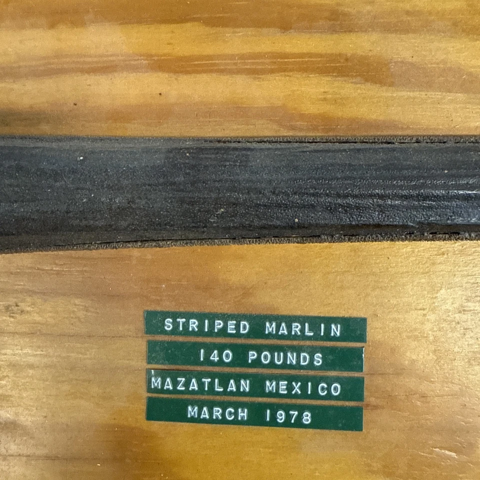 VELA PEZ AZUL MARLÍN BILLETE/NARIZ/PICO/LANZA PLACA DE TAXIDERMIA MONTADA Y MINI Lote Foto 3 de 4