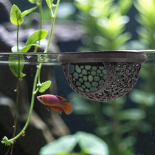 Floating Betta Fish Skins, Betta or Shrimp Feeder, Cave and Hammock, Small Fi...