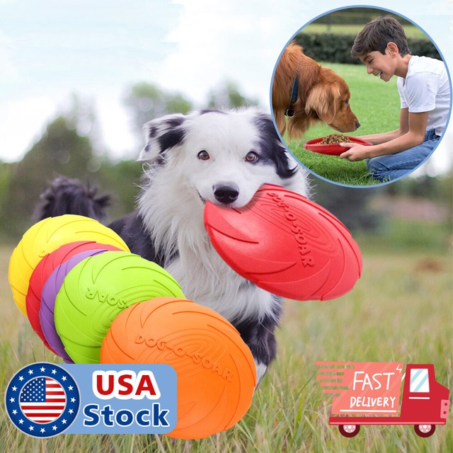 floppy frisbee for dogs