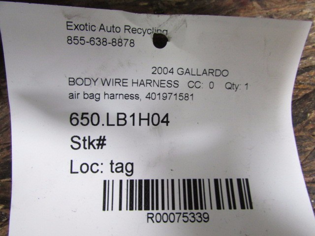 Lamborghini Gallardo, Wire Harness, Used, P/N 401971581