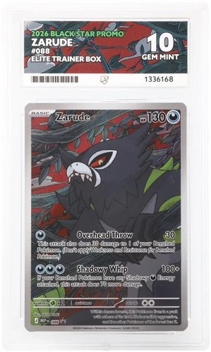 Zarude MEP 088 - Pitch Black - Promo - ACE 10