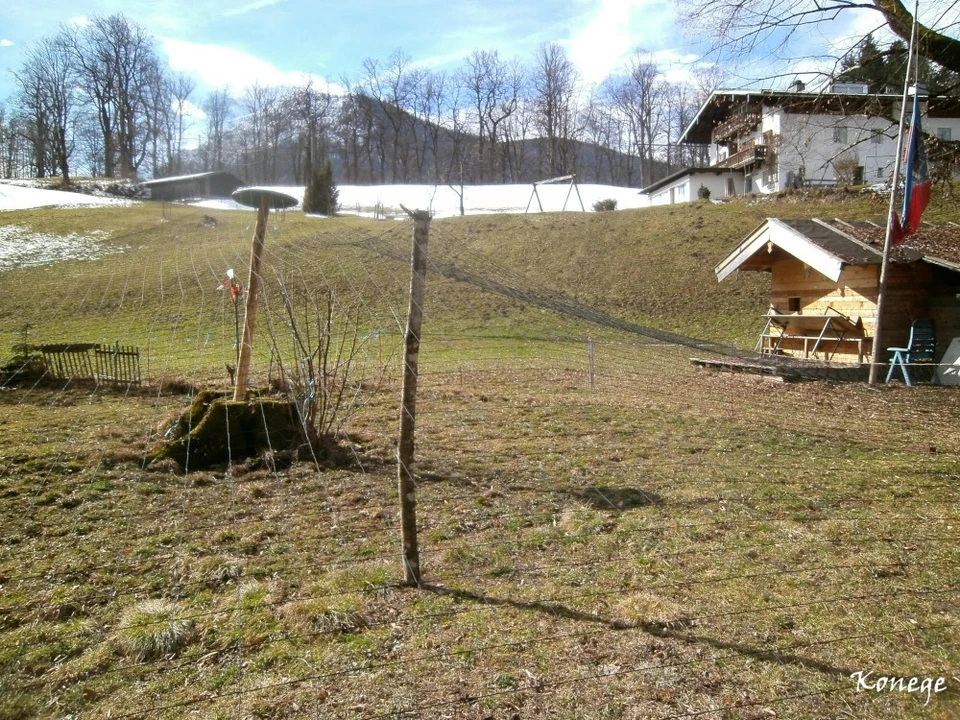 Teichnetz 10m Breite, Länge wählbar, Maschenweite 5cm geknotet Reiherschutznetz - Bild 2 von 2