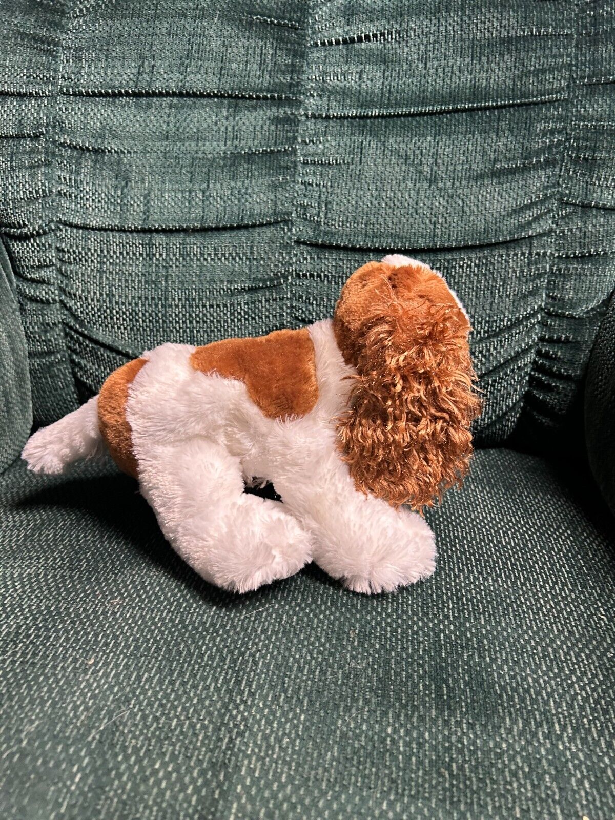 Picture 4 of 4