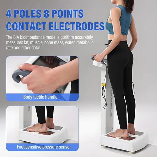 Professional Full Body Fat Analyzer Body Scanner Composition Analysis +Printer