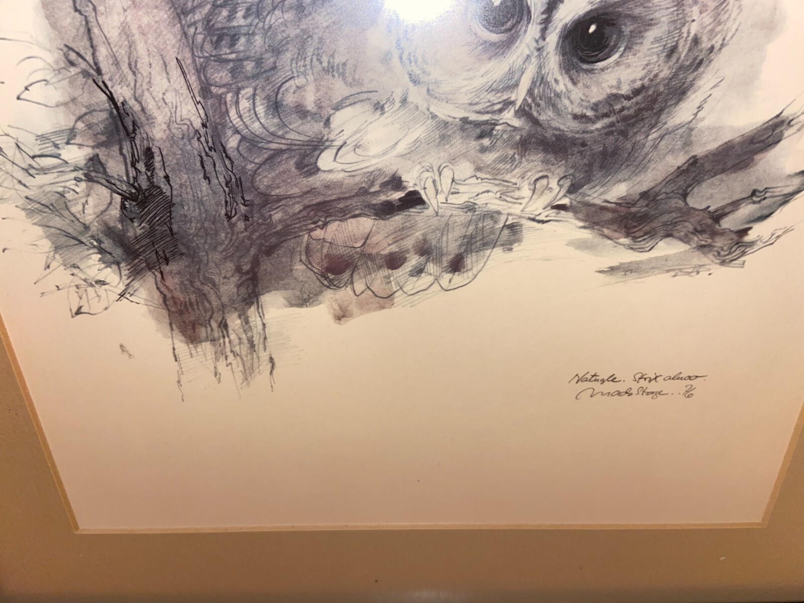 Masterpiece Collection of Belart Kenyon Minnesota Tawny Owl Picture 1978 eBay