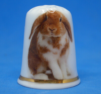 Birchcroft Fingerhut -- Haustiere -- Kaninchen mit Schlaufenohren -- kostenlose Kuppelbox