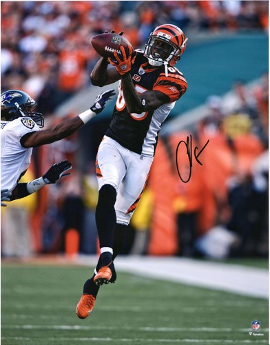 Chad Johnson Cincinnati Bengals Signed 16" x 20" Black Making Catch Photo