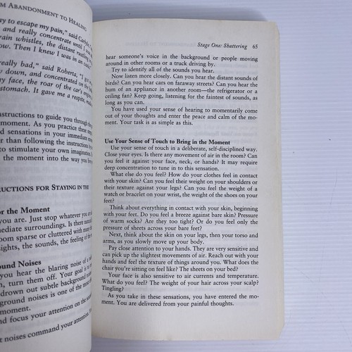 BOOK BUNDLE LOT 4 for Healing: Abandonment, Forgiveness, Grief, Fear, Mind - Picture 16 of 23