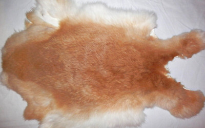 9''x12.5'' Tanned Rabbit Skin Hide Pelt Natural Decor #1567