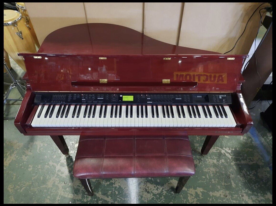 sami Samick MD-61 Mini Digital Piano | zZounds