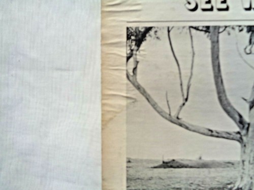 Peter Paul & Mary: See What Tomorrow Brings 1968 "W7" Reissue Pitman Pressing VG - Picture 6 of 12
