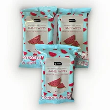 3 Pack Watermelon Hand Wipes – B•Pure 20ct Each – Fresh, Travel Size