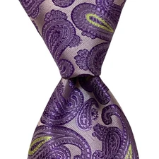 BERGAMO NEW YORK Men's 100% Polyester Necktie Designer PAISLEY Purple/Green EUC