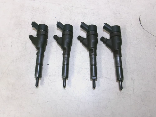0445110076 Bosch kit 4 injectors diesel engine Citroen Peugeot 2.0 HDI 8V