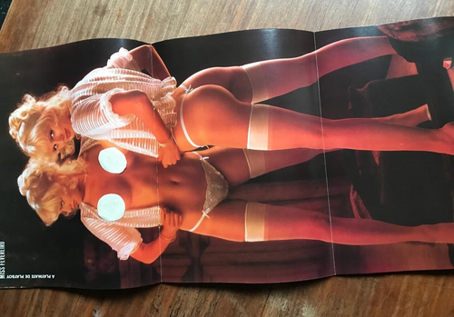 Playboy Brazil #55 - MULATAS - Feb 1980 VINTAGE CENTERFOLD - Bild 3 von 6