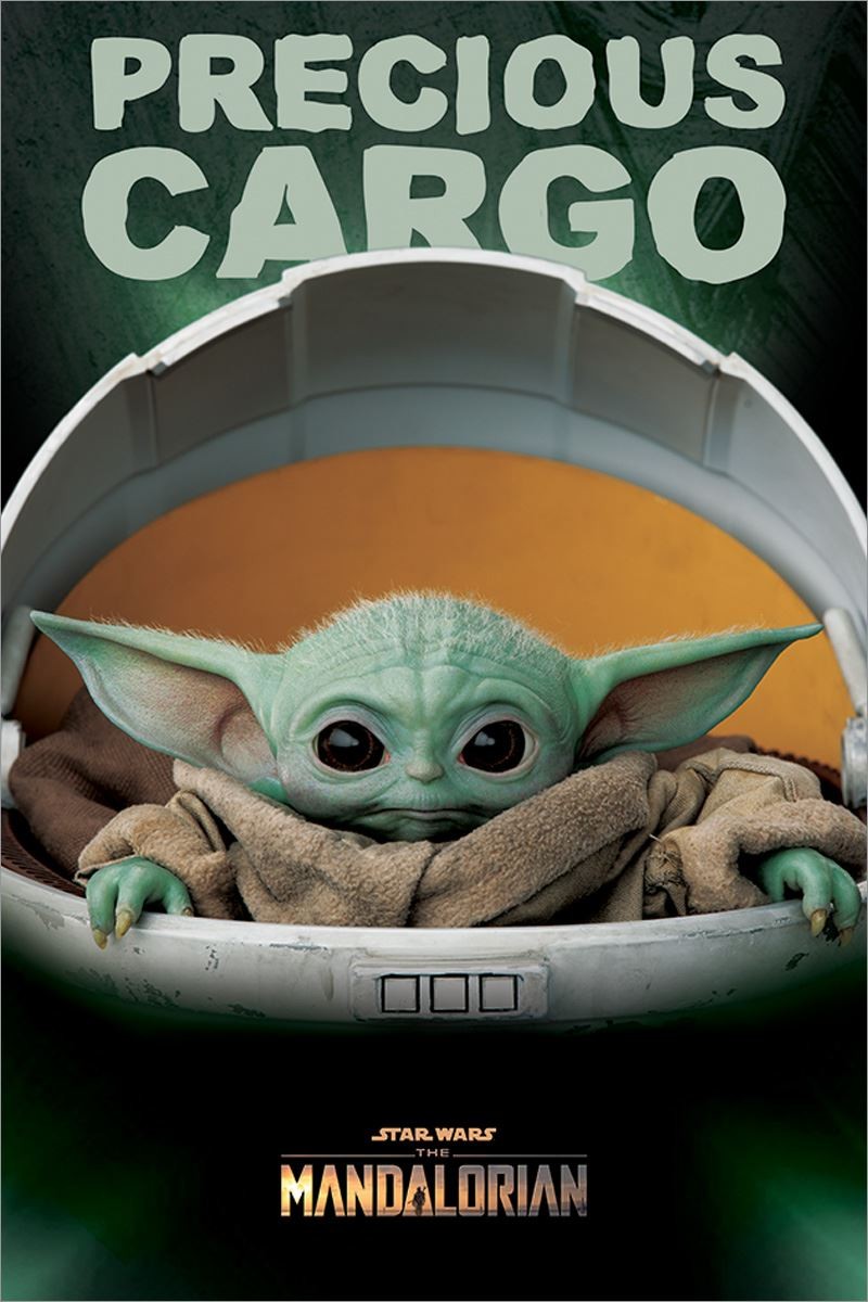 Laminated Star Wars: The Mandalorian (Precious Cargo) Maxi Poster