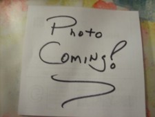 NIGHT OF THE COMET 1984 MINT BLU-RAY DVD COLL ED COMBO CATHERINE MARY STEWART