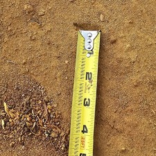 Osage Orange Hardwood Sawdust 1.5 Pounds Bulk Exotic Chemical Free 100 Natural